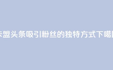 卡盟头条:吸引粉丝的独特方式 第1张 卡盟头条:吸引粉丝的独特方式 第1张