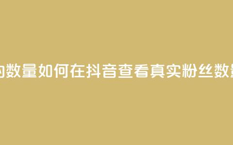 抖音怎么看真粉丝的数量 - 如何在抖音查看真实粉丝数量的方法解析~ 第1张 抖音怎么看真粉丝的数量 - 如何在抖音查看真实粉丝数量的方法解析~ 第1张