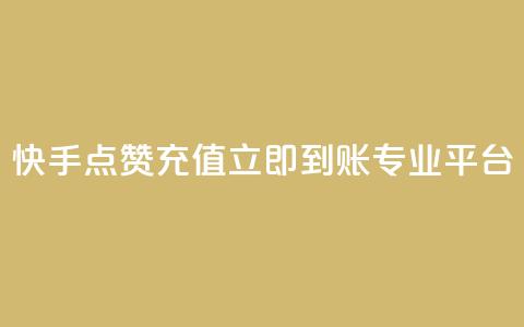 快手点赞充值立即到账专业平台 第1张 快手点赞充值立即到账专业平台 第1张