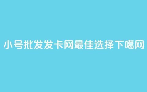 小号批发发卡网VX:最佳选择 第1张 小号批发发卡网VX:最佳选择 第1张