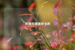哔哩哔哩播放卡死