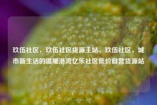 玖伍社区，玖伍社区货源主站，玖伍社区，城市新生活的温暖港湾亿乐社区低价自营货源站