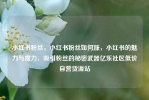 小红书粉丝，小红书粉丝如何涨，小红书的魅力与魔力，吸引粉丝的秘密武器亿乐社区低价自营货源站