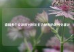 德国多个党派反对附和北约提高防务开支建议