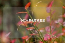 小红书怎么看观看量