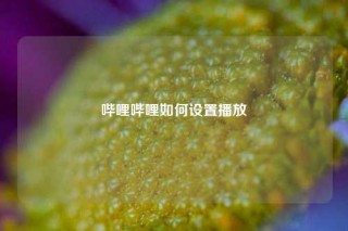 哔哩哔哩如何设置播放