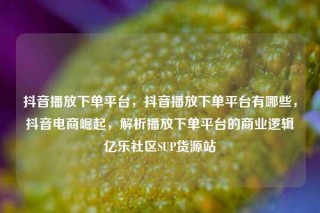 抖音播放下单平台，抖音播放下单平台有哪些，抖音电商崛起，解析播放下单平台的商业逻辑亿乐社区SUP货源站