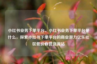 小红书业务下单平台，小红书业务下单平台是什么，探索小红书下单平台的商业潜力亿乐社区低价自营货源站