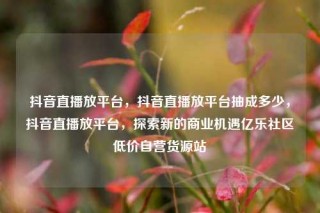 抖音直播放平台，抖音直播放平台抽成多少，抖音直播放平台，探索新的商业机遇亿乐社区低价自营货源站