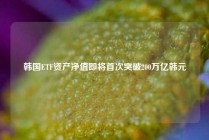 韩国ETF资产净值即将首次突破200万亿韩元