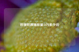 哔哩哔哩播放量50万多少钱