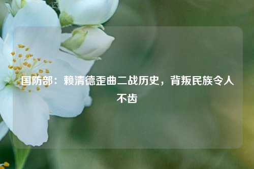 国防部：赖清德歪曲二战历史，背叛民族令人不齿  第1张
