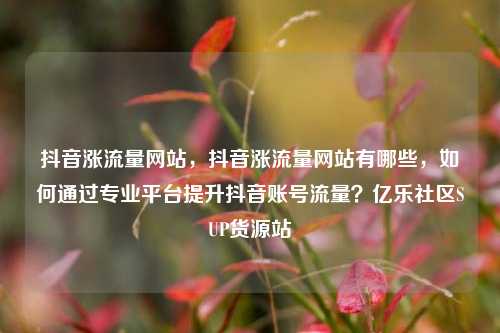 抖音涨流量网站，抖音涨流量网站有哪些	，如何通过专业平台提升抖音账号流量？亿乐社区SUP货源站  第1张