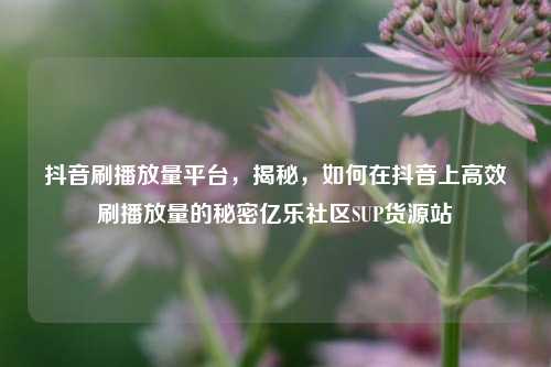抖音刷播放量平台，揭秘	，如何在抖音上高效刷播放量的秘密亿乐社区SUP货源站  第1张