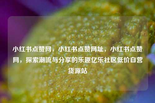 小红书点赞网，小红书点赞网址，小红书点赞网	，探索潮流与分享的乐趣亿乐社区低价自营货源站  第1张