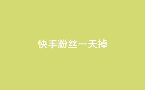 快手粉丝一天掉500,免费刷QQ空间访客量的网站 - 刷访客量QQ 快手1元秒一万赞  第1张