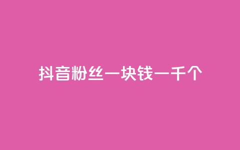 抖音粉丝一块钱一千个 - 抖音粉丝仅需一元获取千人关注秘诀揭秘！  第1张