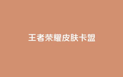 王者荣耀皮肤卡盟 - 王者荣耀皮肤卡盟	，让你畅享丰富多彩的英雄皮肤世界~  第1张