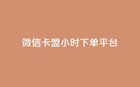 微信卡盟24小时下单平台 - 24小时便捷下单的微信卡盟平台揭秘! 第1张 微信卡盟24小时下单平台 - 24小时便捷下单的微信卡盟平台揭秘! 第1张