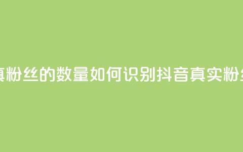 抖音怎么看真粉丝的数量(如何识别抖音真实粉丝数量) 第1张 抖音怎么看真粉丝的数量(如何识别抖音真实粉丝数量) 第1张