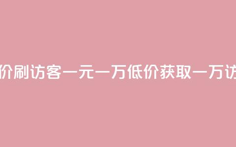 低价刷访客一元一万(低价获取一万访客)  第1张