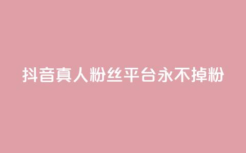 抖音真人粉丝平台 永不掉粉 - 抖音粉丝平台：畅享稳定粉丝，永远不失粉！~  第1张