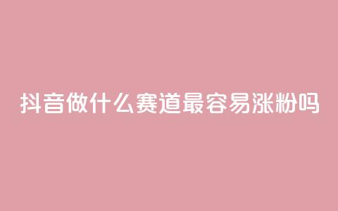 抖音做什么赛道最容易涨粉吗,全网账号批发 - 抖音怎么查自己点过的赞 b站播放量自助平台 第1张 抖音做什么赛道最容易涨粉吗,全网账号批发 - 抖音怎么查自己点过的赞 b站播放量自助平台 第1张