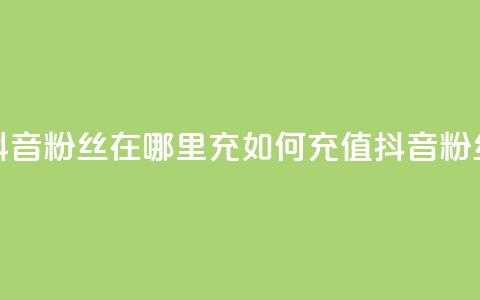 抖音粉丝在哪里充(如何充值抖音粉丝?) 第1张 抖音粉丝在哪里充(如何充值抖音粉丝?) 第1张