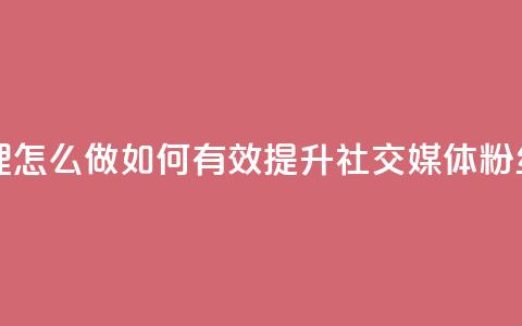 刷粉网站代理怎么做(如何有效提升社交媒体粉丝数量) 第1张 刷粉网站代理怎么做(如何有效提升社交媒体粉丝数量) 第1张