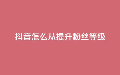抖音怎么从0提升500粉丝等级,qq刷访客量网站一元一万 - 抖音推广员怎么加入 qq下单业务平台空间免费  第1张