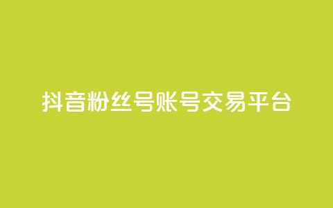 抖音粉丝号账号交易平台 - 抖音账户买卖平台全面分析与指南!  第1张