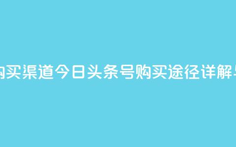 今日头条号购买渠道 - 今日头条号购买途径详解与指南! 第1张 今日头条号购买渠道 - 今日头条号购买途径详解与指南! 第1张