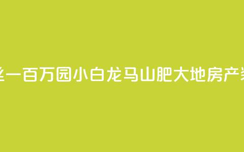 快手粉丝一百万0.01园小白龙马山肥大地房产装修网站,dy自定义评论业务 - qq说说赞低价下单 qq点赞业务  第1张