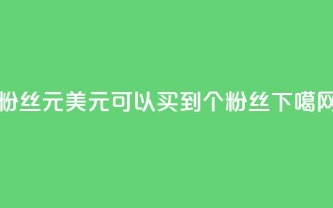 ks粉丝1元100 - 1美元可以买到100个KS粉丝!  第1张