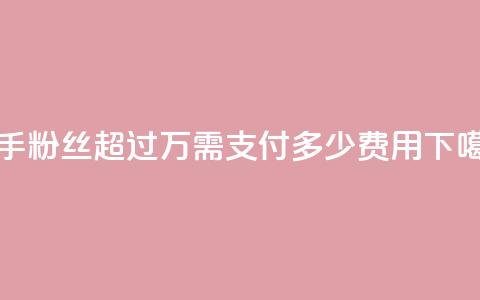 快手粉丝超过4万需支付多少费用 第1张 快手粉丝超过4万需支付多少费用 第1张