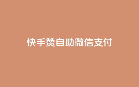 快手赞自助微信支付,快手业务在线下单平台全网最低 - 子潇24小时下单 空间访问量50000免费  第1张