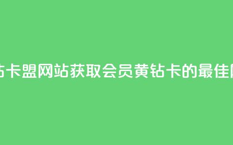刷qq会员黄钻卡盟网站(获取QQ会员黄钻卡的最佳网站) 第1张 刷qq会员黄钻卡盟网站(获取QQ会员黄钻卡的最佳网站) 第1张