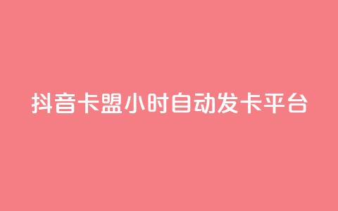 抖音卡盟24小时自动发卡平台,颜夕卡盟 - 全网辅助货源站 快手点赞评论软件微信支付  第1张