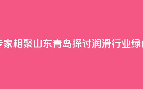 业界专家相聚山东青岛探讨润滑行业绿色发展 第1张 业界专家相聚山东青岛探讨润滑行业绿色发展 第1张