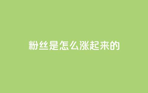 粉丝是怎么涨起来的,qq空间点赞自助 - qq空间说说刷转发数量 qq自助平台全网最低  第1张
