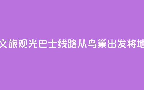 北京开通新文旅观光巴士线路 从鸟巢出发将地标“串珠成链	”  第1张