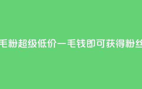 低价Ks一毛1000粉(超级低价，一毛钱即可获得1000粉丝)  第1张