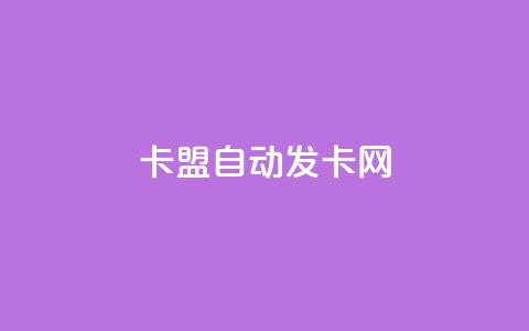 卡盟自动发卡网,QQ业务自助网 - qq云端秒赞官网 qqsvip怎么刷永久  第1张