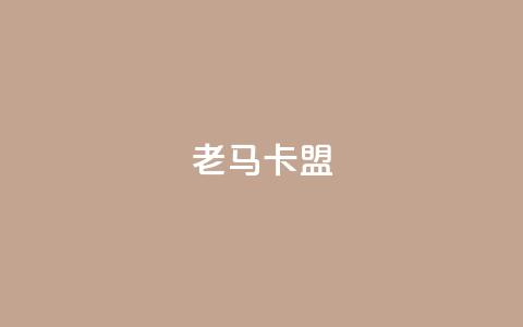 老马卡盟 - 老马卡盟：提升网站SEO效果的有效工具。  第1张
