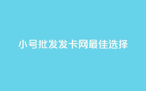 小号批发发卡网VX:最佳选择 第1张 小号批发发卡网VX:最佳选择 第1张