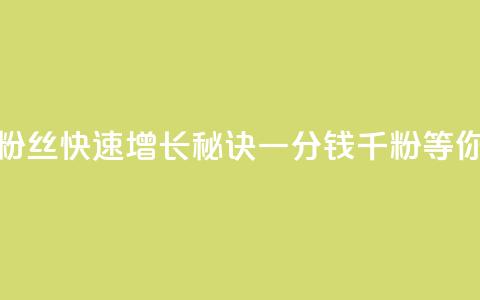 抖音粉丝快速增长秘诀	，一分钱千粉等你来抢  第1张