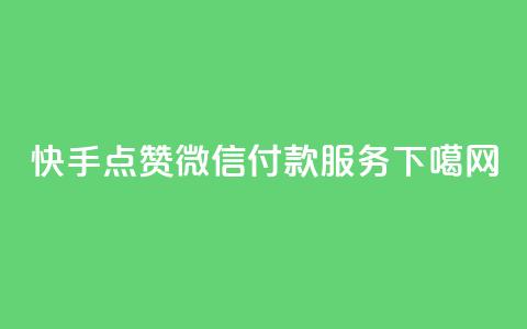 快手点赞微信付款服务 第1张 快手点赞微信付款服务 第1张