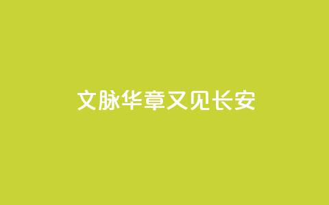文脉华章｜又见长安  第1张
