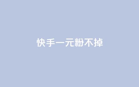 快手一元10000粉不掉 - 快手粉丝数量一元达10000，稳定不掉粉~  第1张