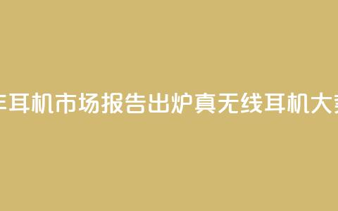 2024上半年耳机市场报告出炉:真无线耳机大势已去 第1张 2024上半年耳机市场报告出炉:真无线耳机大势已去 第1张